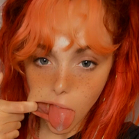 discobutterfly Nua