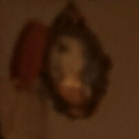 marmotta78ale Nua