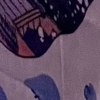 notyourfeedee Nua