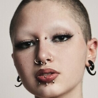 punk.doberman Nua