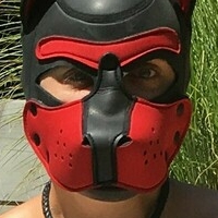 pupamp Nua